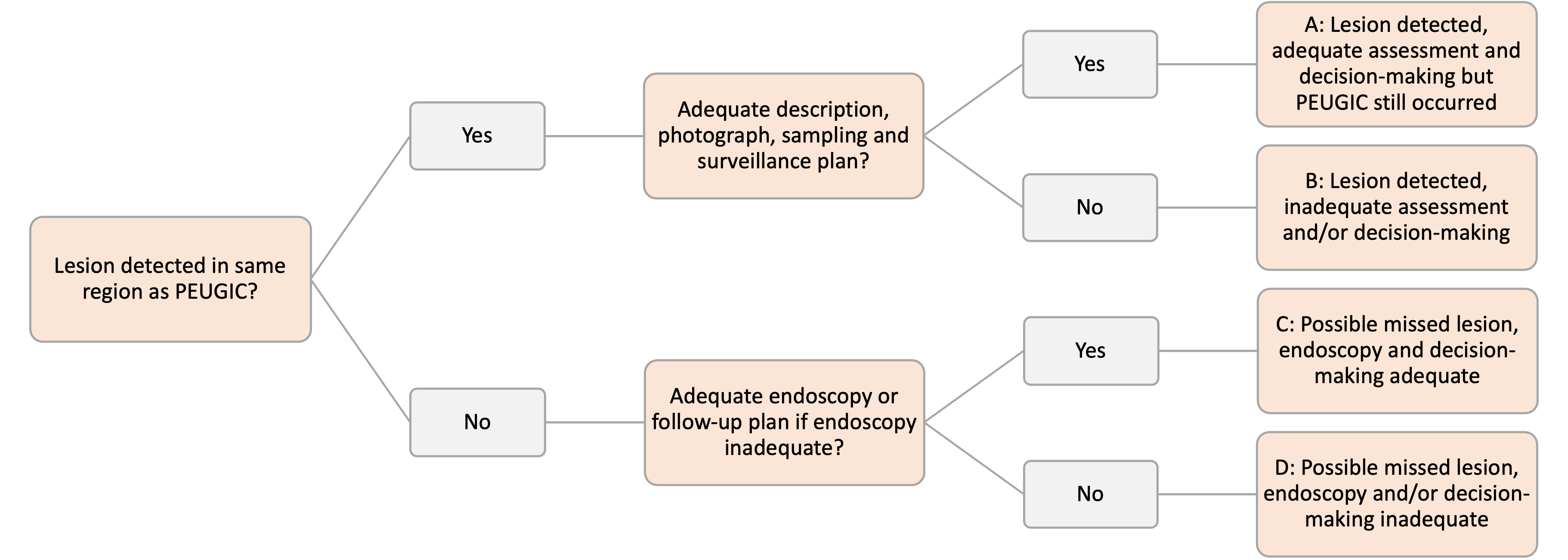 This figure is a spider diagram to help an endoscopist to categorise a PEUGIC following the World Endoscopy Organisation recommendation of A, B, C or D depending on if a lesion was detected or not and if the decision making was adequate